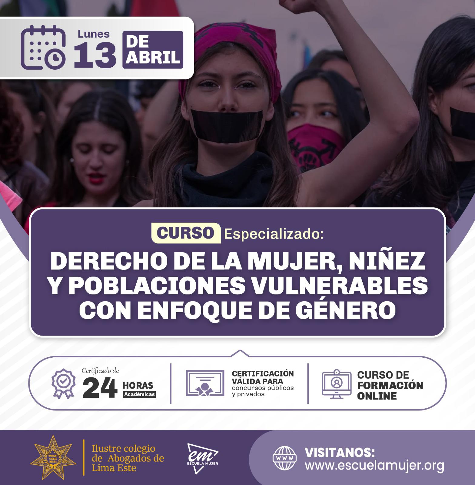 CURSO ESPECIALIZADO: DERECHO DE LA MUJER, NIÑEZ Y POBLACIONES VULNERABLES CON ENFOQUE DE GÉNERO
