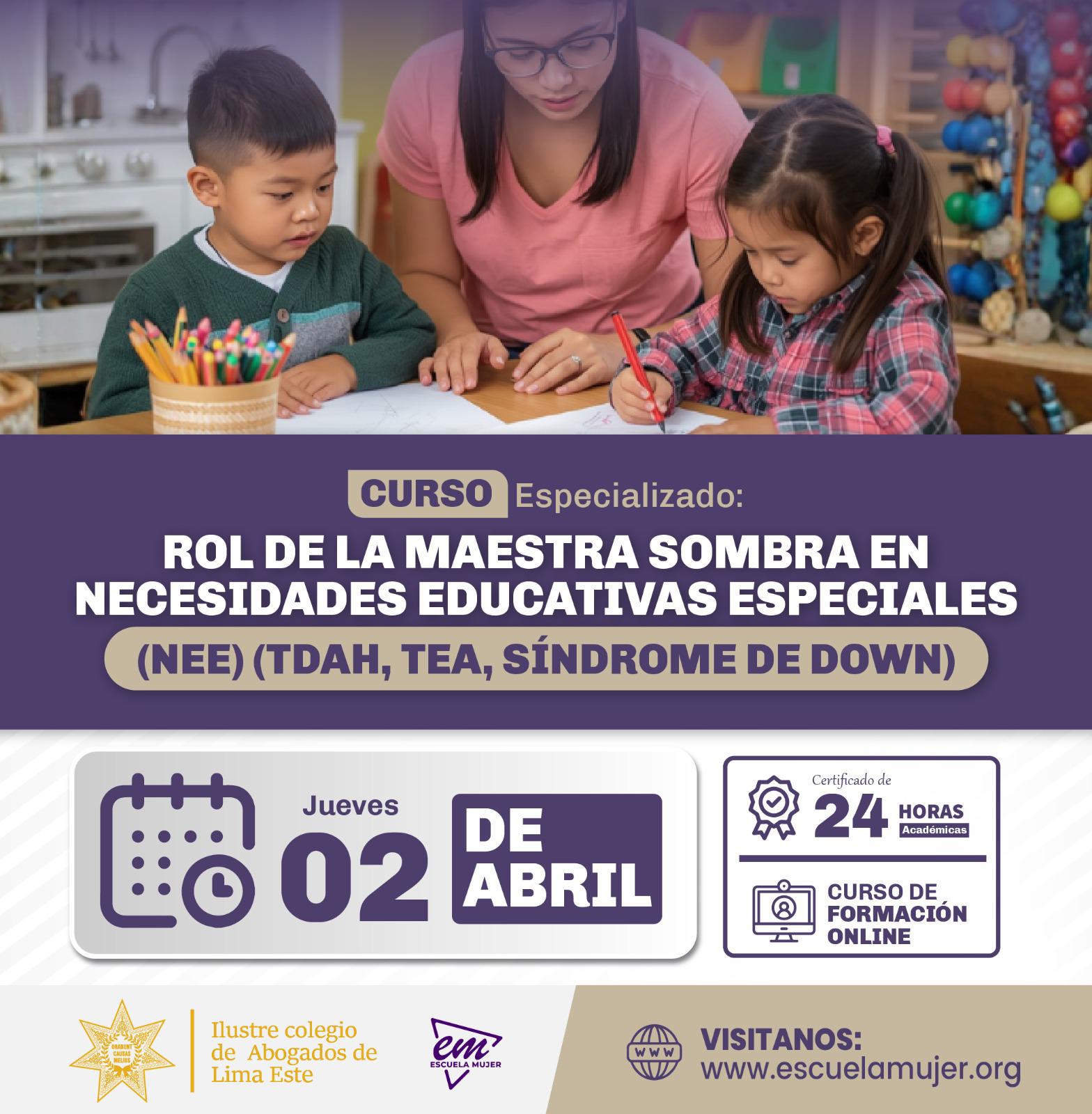 CURSO ESPECIALIZADO: ROL DE LA MAESTRA SOMBRA EN NECESIDADES EDUCATIVAS ESPECIALES (NEE) (TDAH, TEA, SÍNDROME DE DOWN, ETC.)