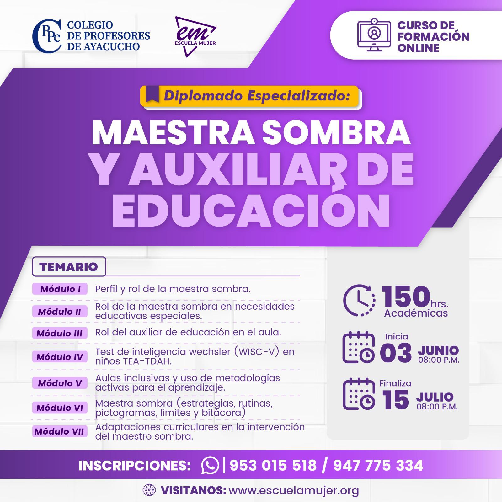 Diplomado Especializado: MAESTRA SOMBRA Y AUXILIAR EDUCACIÓN