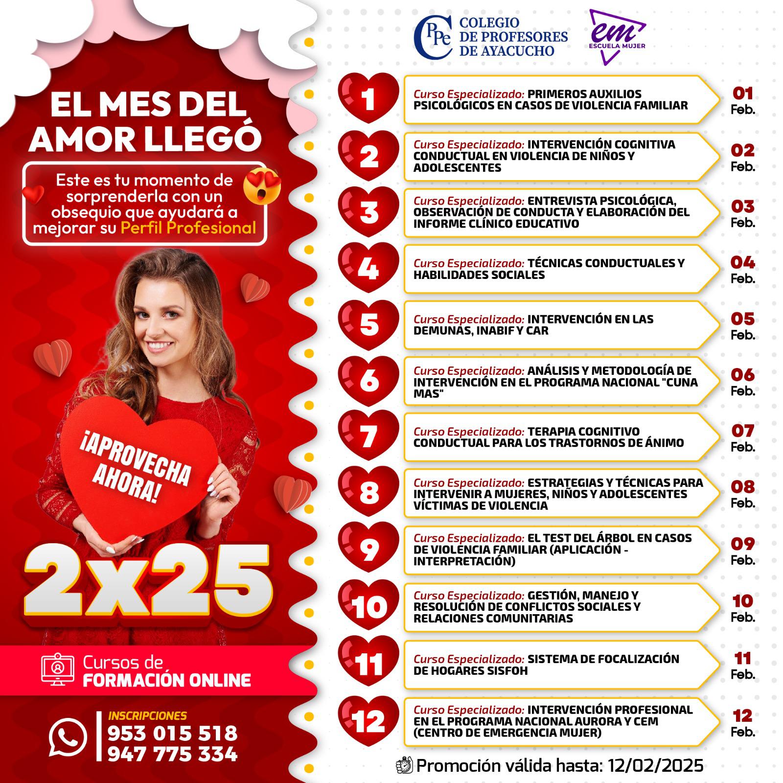 Curso Especializado: INTERVENCIÓN PROFESIONAL EN EL PROGRAMA NACIONAL AURORA Y CEM (CENTRO DE EMERGENCIA MUJER)
