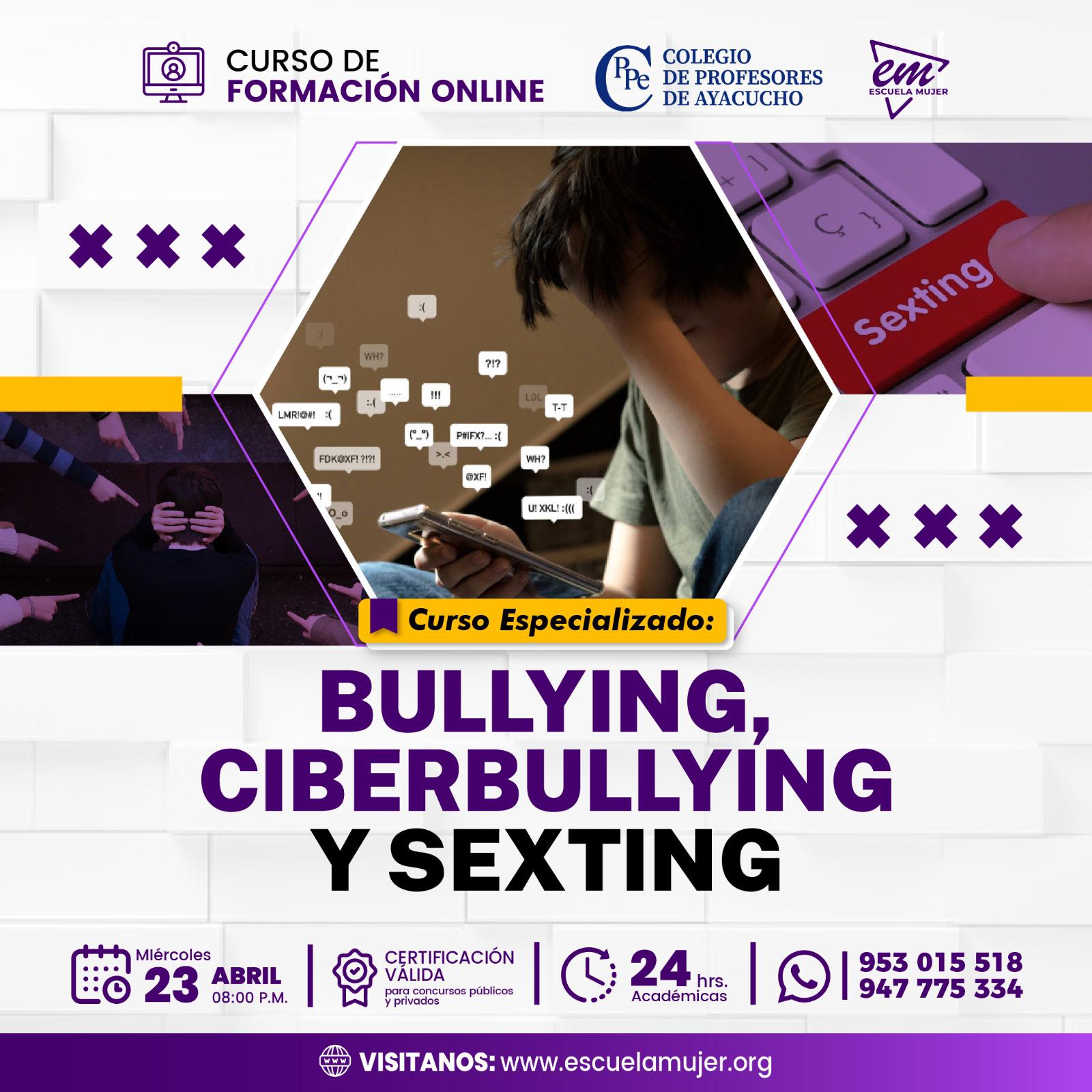 Curso Especializado: Bullying, Ciberbullying y Sexting